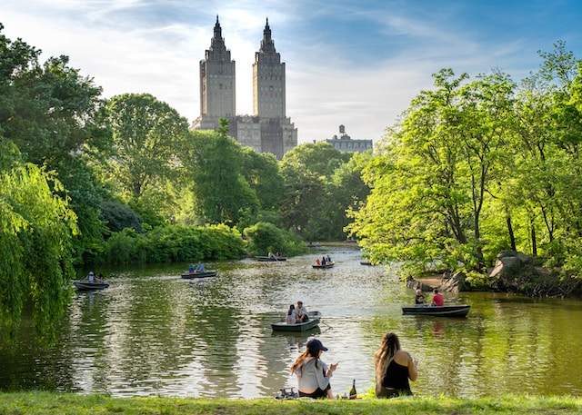 Discovering Central Park, New York: A Tranquil Oasis in the Heart of the City